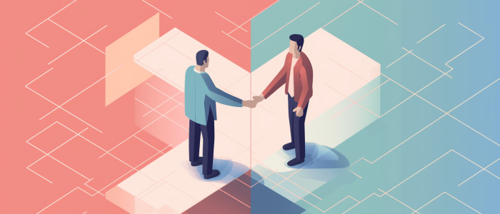 Debt settlement programs